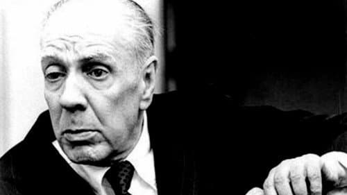 Los libros y la noche Bild 1