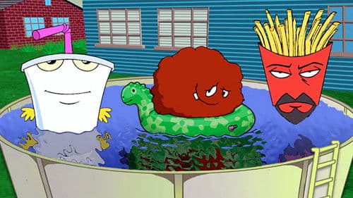 Aqua Teen Hungerforce Bild 1