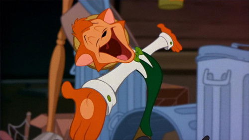 Danny der Kater Bild 2