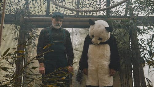 Von Friesen und Pandabären Bild 1