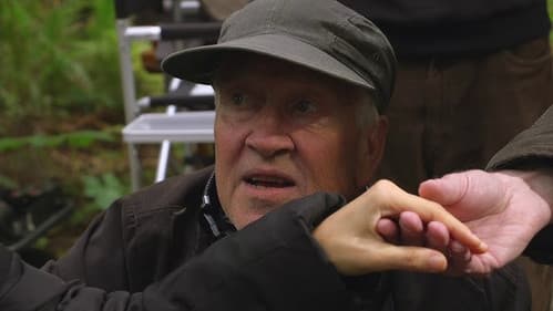 The Man with the Gray Elevated Hair Bild 2