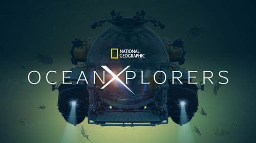 OceanXplorers – Geheimnisse der Ozeane Bild 4