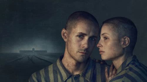 The Tattooist of Auschwitz Bild 4