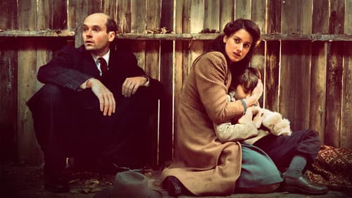 Die Vögel über dem Sund Bild 4