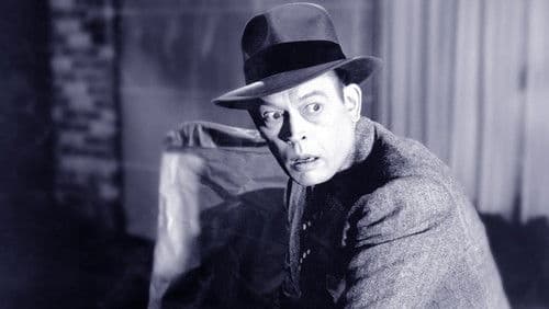 It's in the Bag! Bild 3