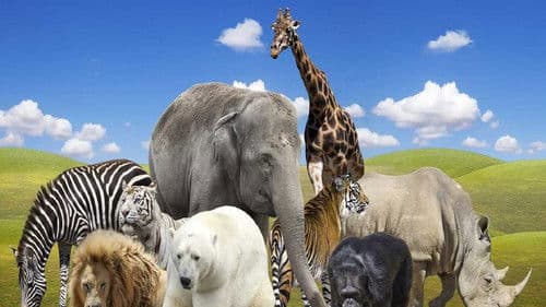 Die verrückte Welt der Hörnchen Bild 3