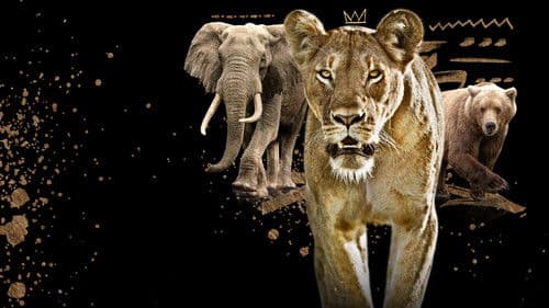 Queens – Königinnen des Tierreichs Bild 4