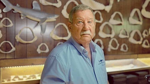 Shark Quest: Hunt For The Apex Predator Bild 2