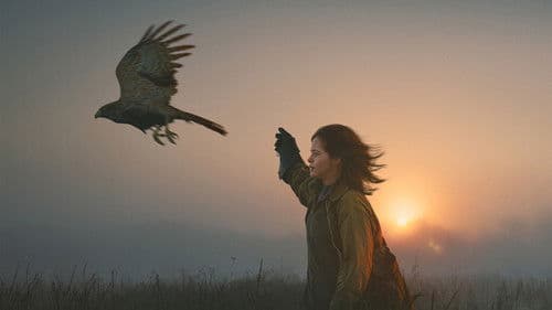 H Is for Hawk Bild 3