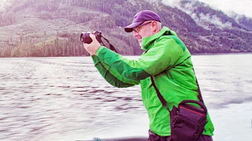 Das geheime Leben der Bäume Bild 6