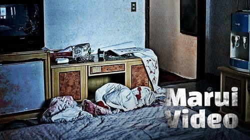 마루이 비디오 Bild 3