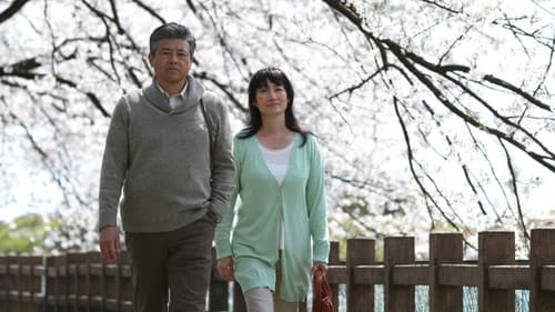 RAILWAYS 愛を伝えられない大人たちへ Bild 1