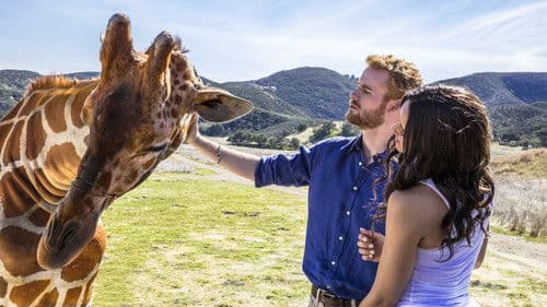 Harry & Meghan - Eine königliche Romanze Bild 7