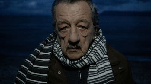 Primula Rossa Bild 1