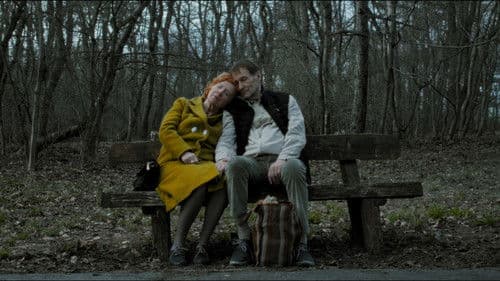 Hajnali ösvényeken Bild 1