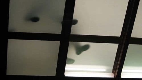 Galeries de Paris Bild 1