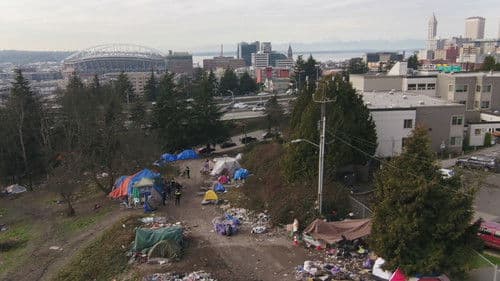 Seattle is Dying Bild 2