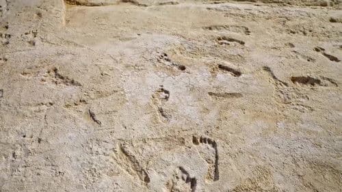 Auf den Spuren der ersten Amerikaner Bild 1