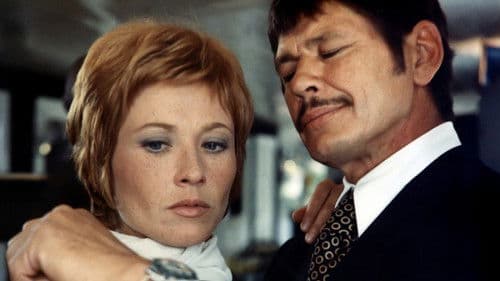 Der aus dem Regen kam Bild 7