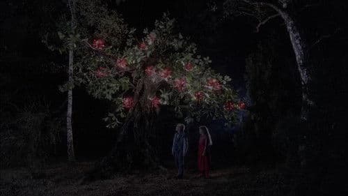 Rotkäppchen - Abschied vom Zauberwald Bild 3