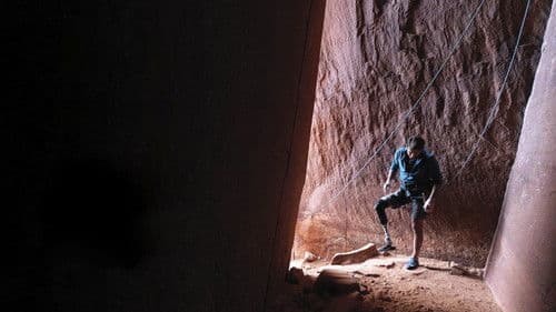 Out on a Limb Bild 1