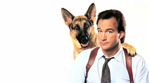 Mein Partner mit der kalten Schnauze Bild 3