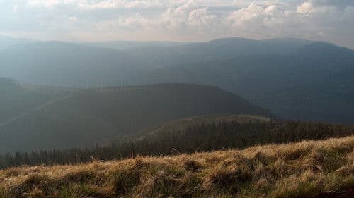 Zpět k pramenům Bild 1