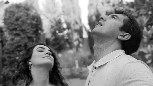 Skorpionsaison Bild 6