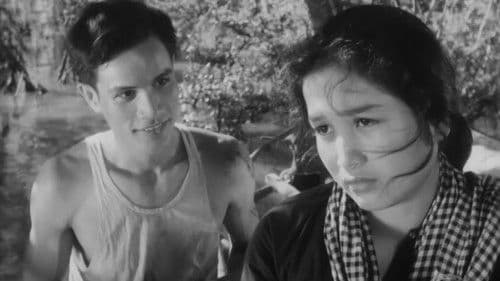 Chị Tư Hậu Bild 4