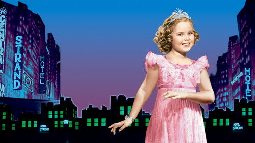 Little Miss Broadway Bild 6