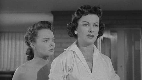 Die Autofalle von Las Vegas Bild 5