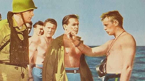 Froschmänner Bild 5