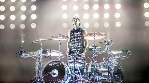 blink-182: Live at Reading Festival Bild 2