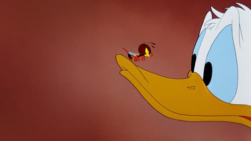 Donald, der Hobbytapezierer Bild 1