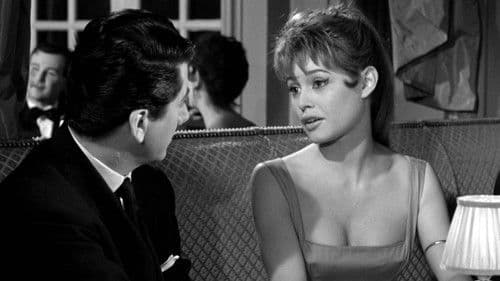 Das Gänseblümchen wird entblättert Bild 4