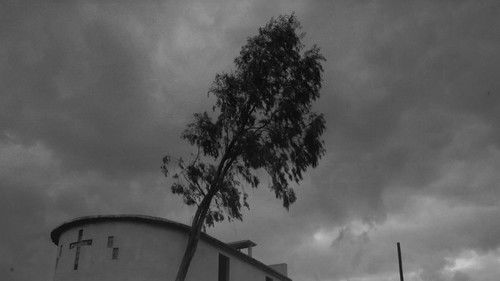 ¡Viva el Pueblo! Bild 2