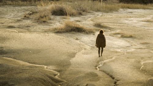 Miracolul din Tekir Bild 3