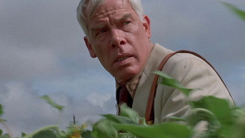 Die Professionals Bild 3