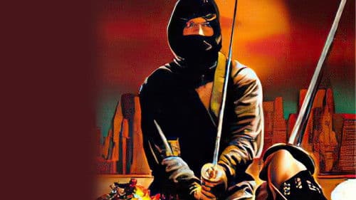 Der Ninja Bild 2