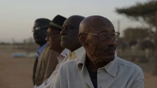 Talking About Trees Bild 5