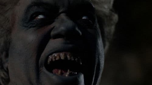 Die phantastische Geisternacht Bild 3