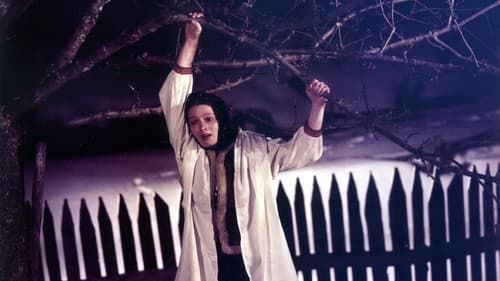 Vianočné oblátky Bild 2