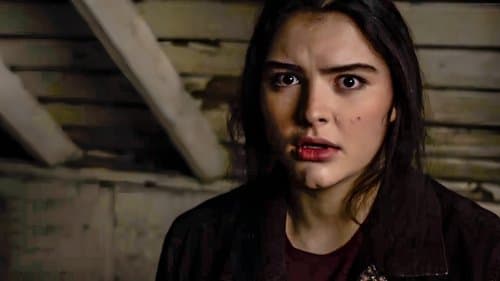 Amityville: Where the Echo Lives Bild 1