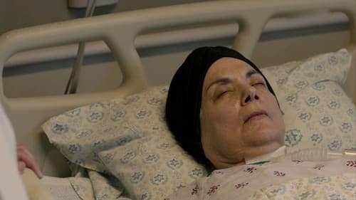 להציל את נטע Bild 8