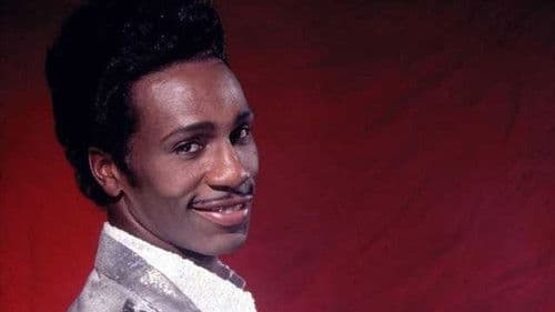 Die Little Richard Story Bild 1