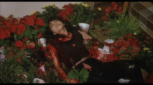 九月の冗談クラブバンド Bild 2