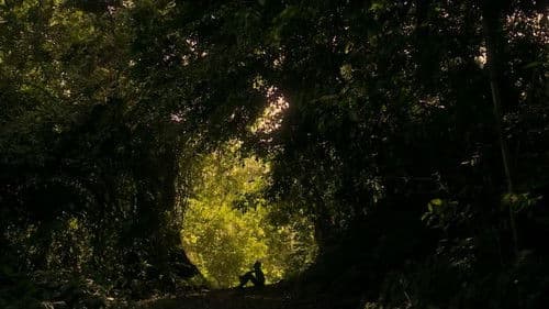 Hadithi za Kumekucha: Tunu Bild 1