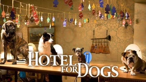 Das Hundehotel Bild 8