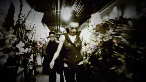 Star Light Joey Yung Concert 2008 Bild 2