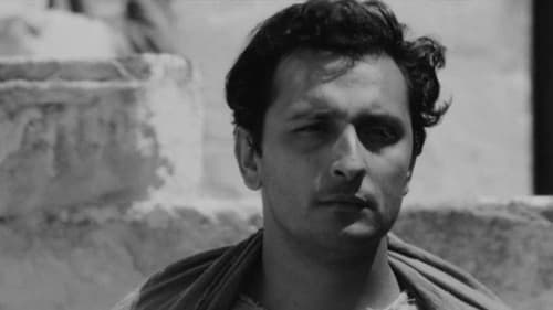 Pier Paolo Pasolini e la ragione di un sogno Bild 1